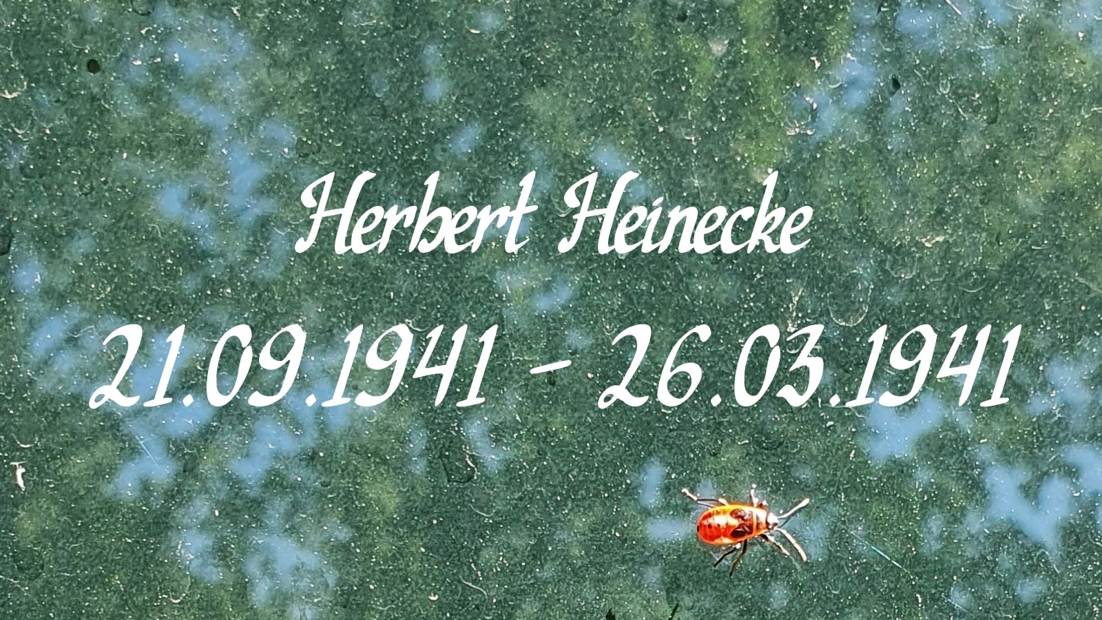 Schriftzug Herbert Heinecke